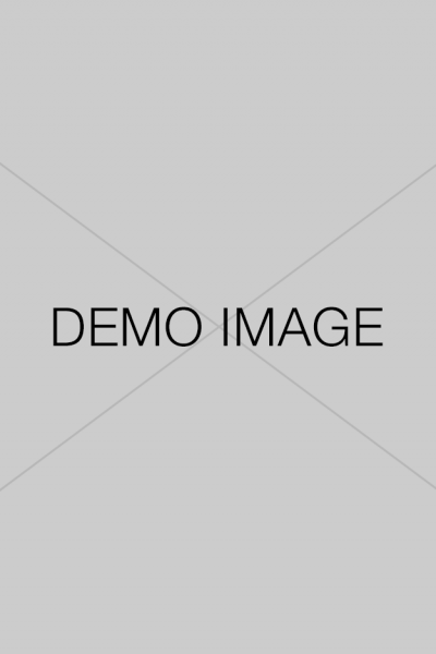 demo-image